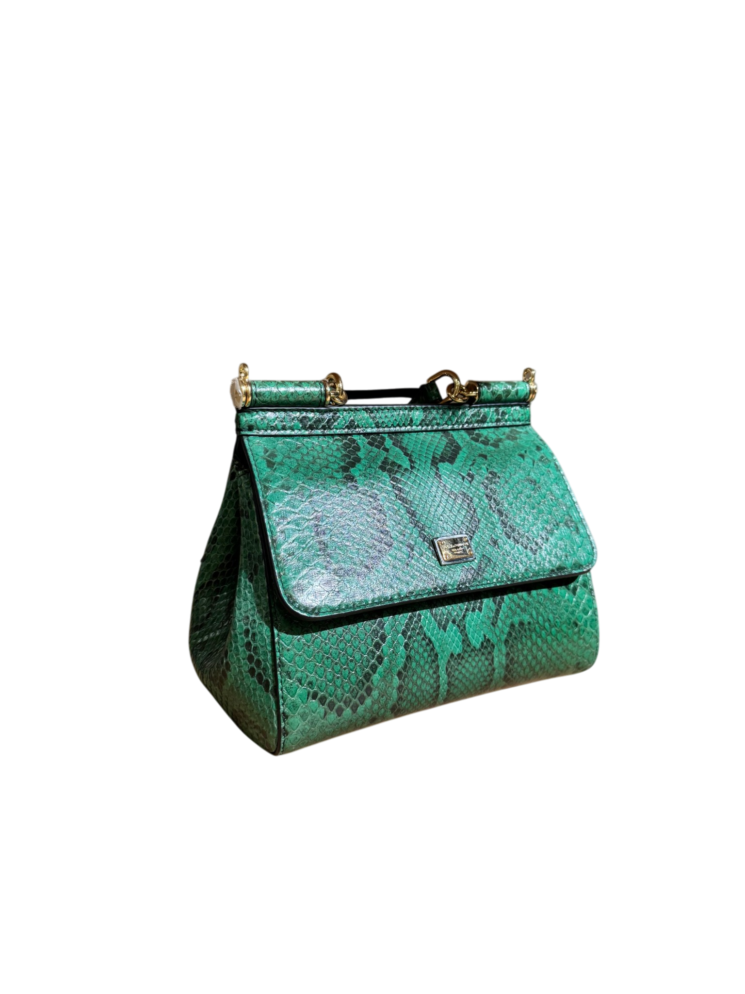 D&G Green Sicily Bag
